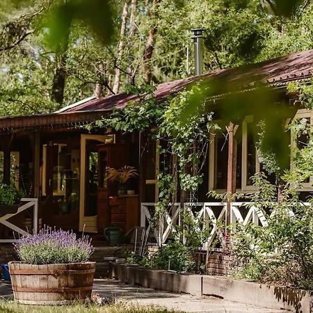 Forest Cottage With Lovely Garden & Sauna Doornspijk Экстерьер фото