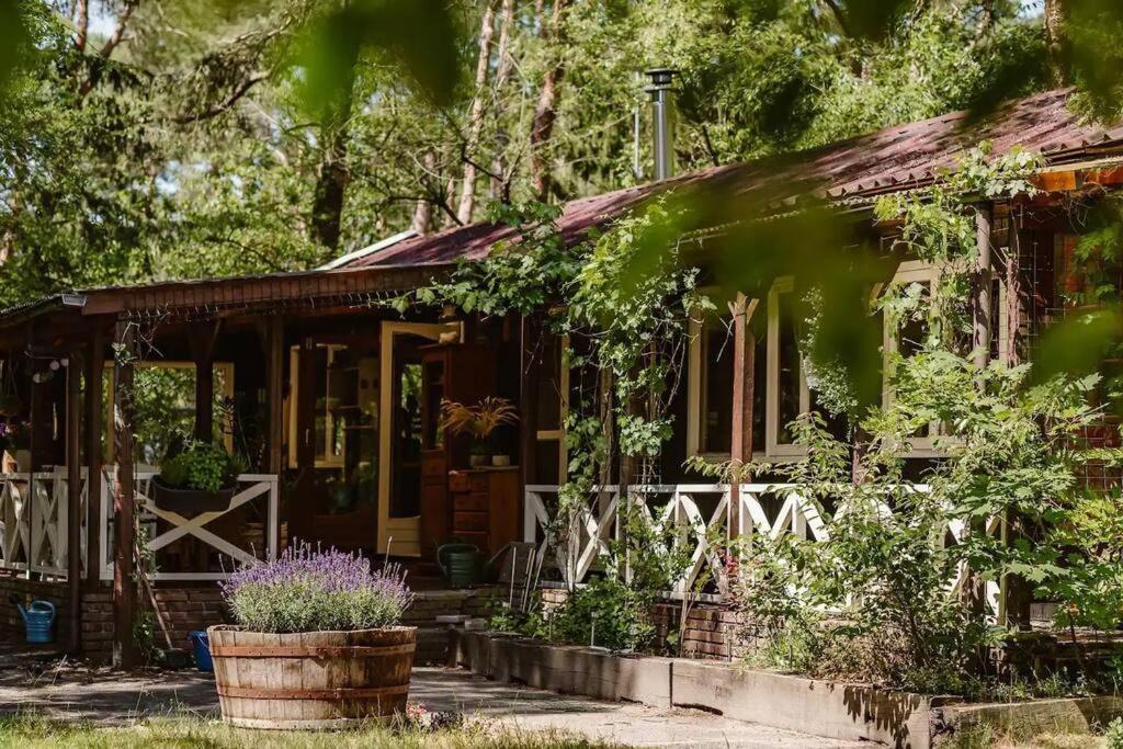 Forest Cottage With Lovely Garden & Sauna Doornspijk Экстерьер фото