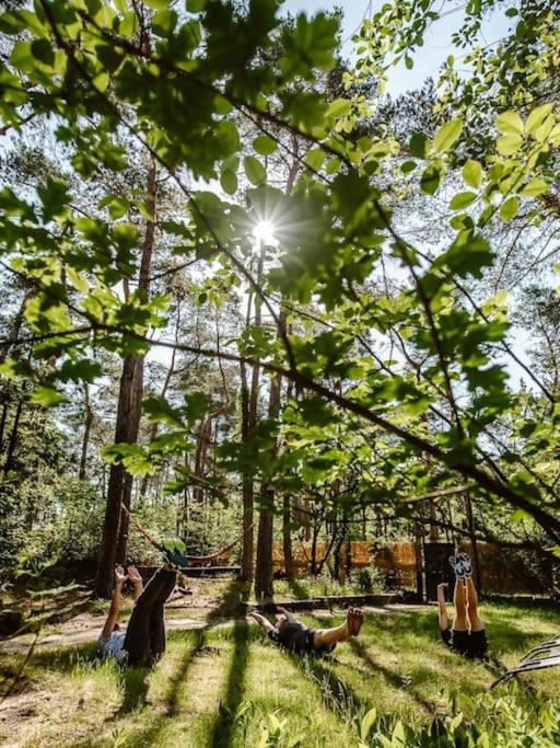 Forest Cottage With Lovely Garden & Sauna Doornspijk Экстерьер фото