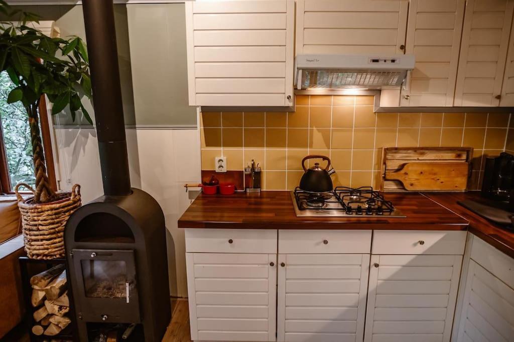 Forest Cottage With Lovely Garden & Sauna Doornspijk Экстерьер фото