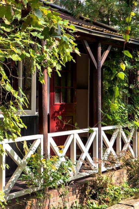 Forest Cottage With Lovely Garden & Sauna Doornspijk Экстерьер фото